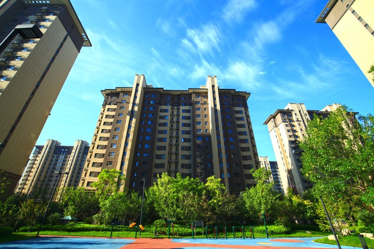 曾经的无敌兔不愧为无敌兔！