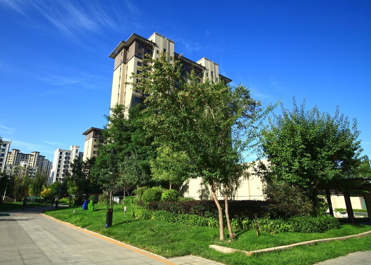 曾经的无敌兔不愧为无敌兔！