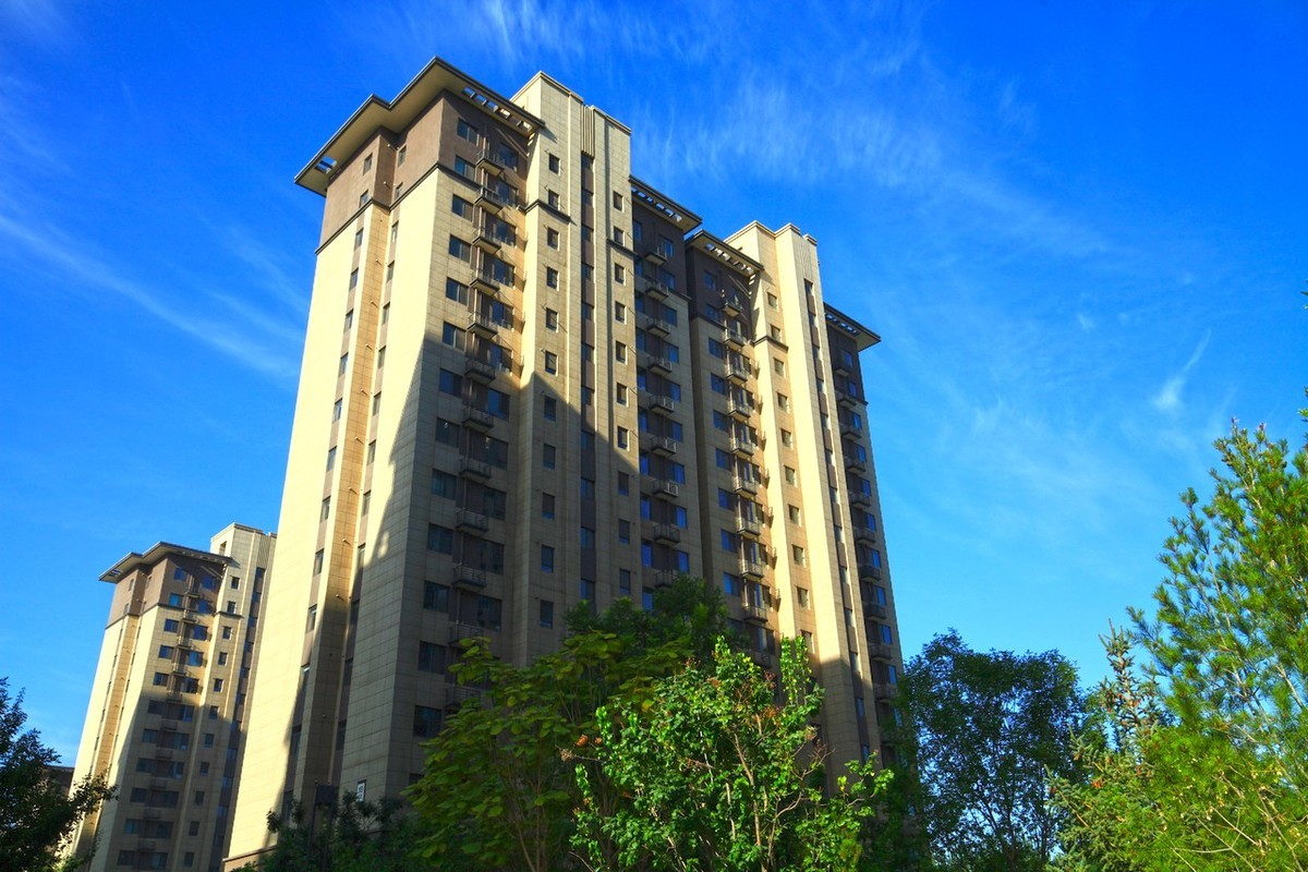 曾经的无敌兔不愧为无敌兔！