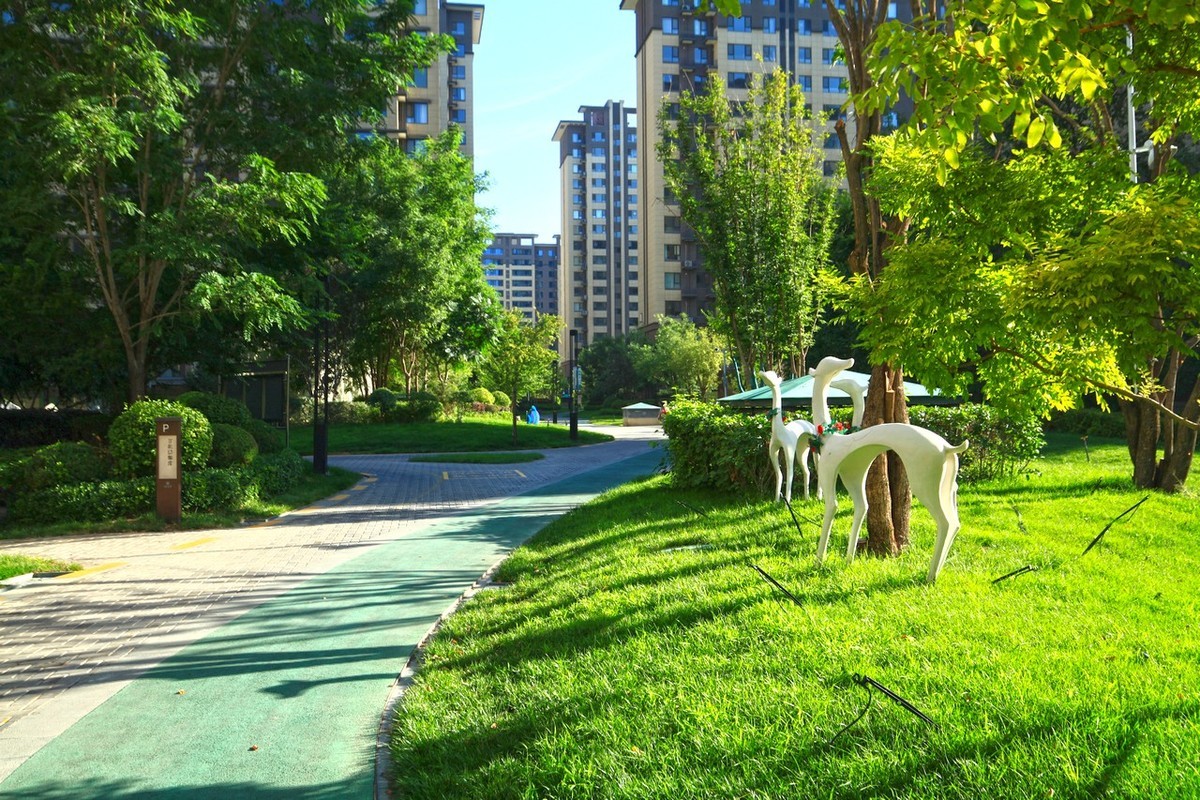 曾经的无敌兔不愧为无敌兔！