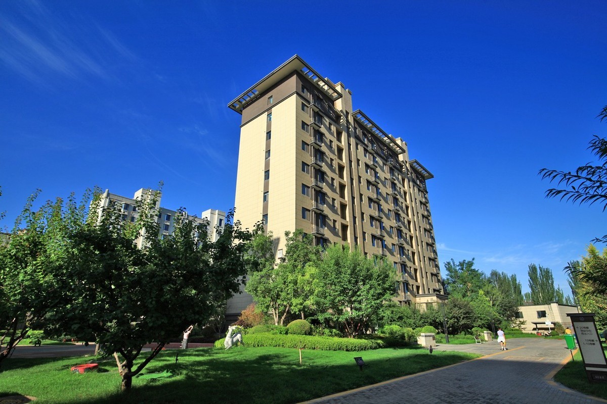 曾经的无敌兔不愧为无敌兔！