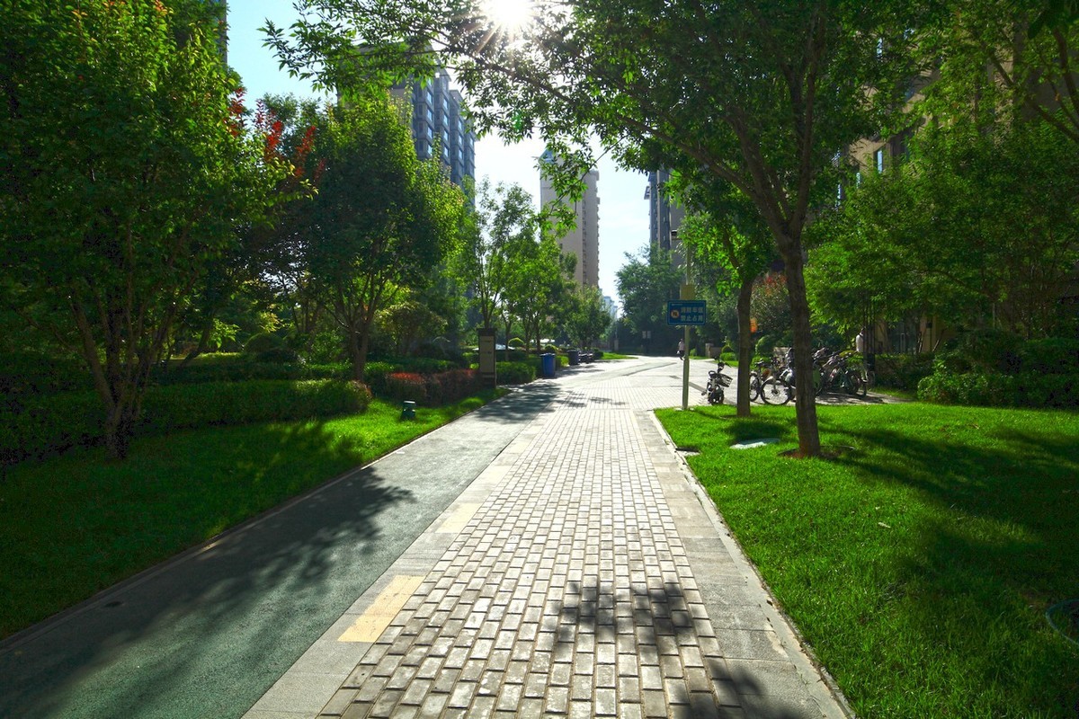 曾经的无敌兔不愧为无敌兔！