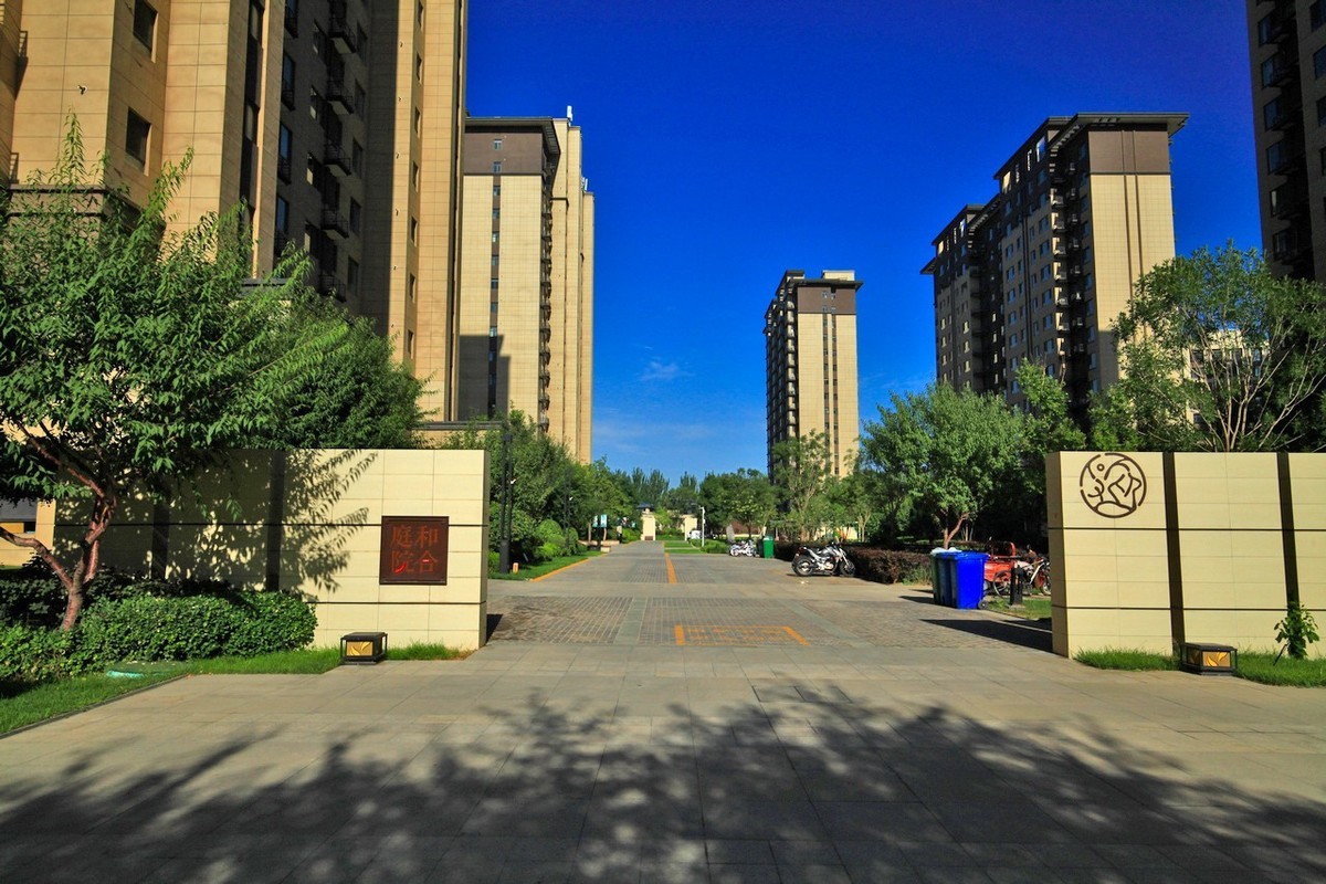 曾经的无敌兔不愧为无敌兔！