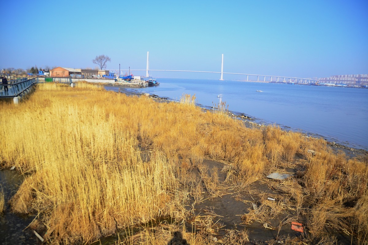 久违了，大辽河！