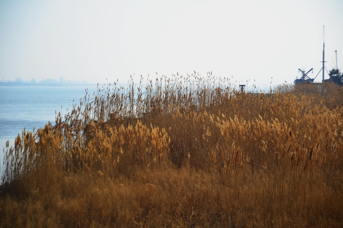 久违了，大辽河！