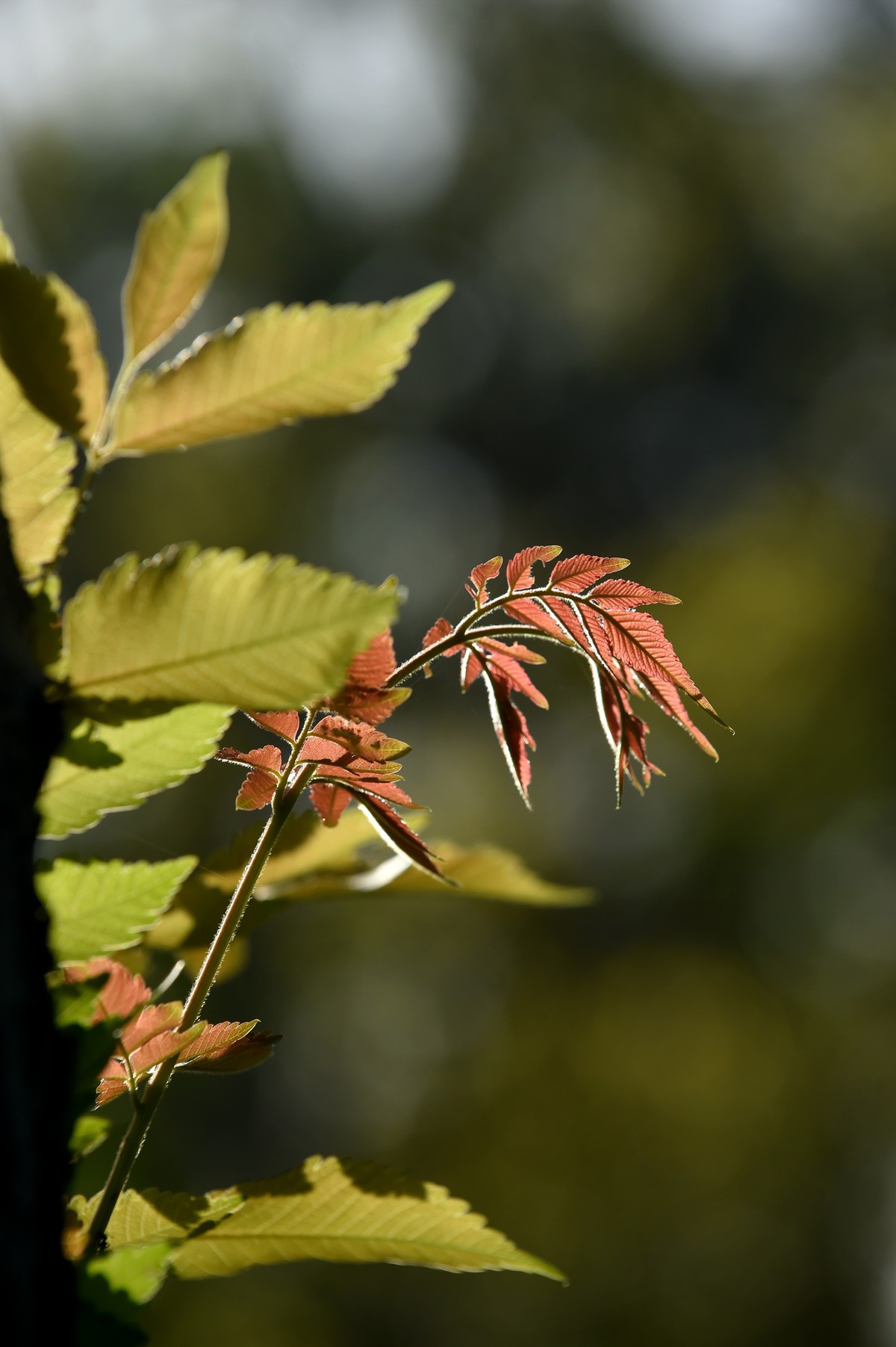 【图集】秋天的小美好