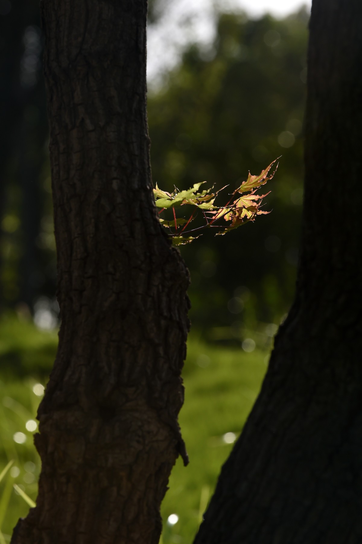 【图集】秋天的小美好