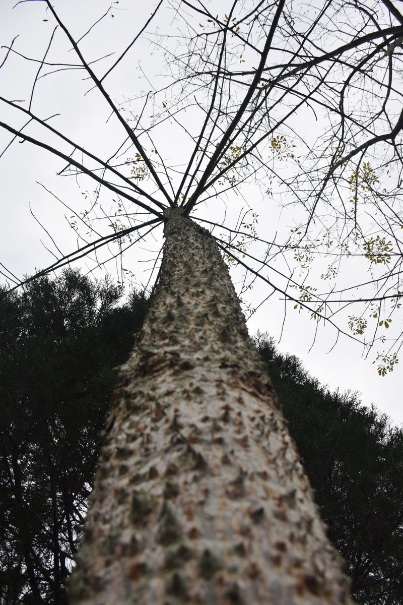 2024春节 滇桂沿边行（95）东里革命陈列室