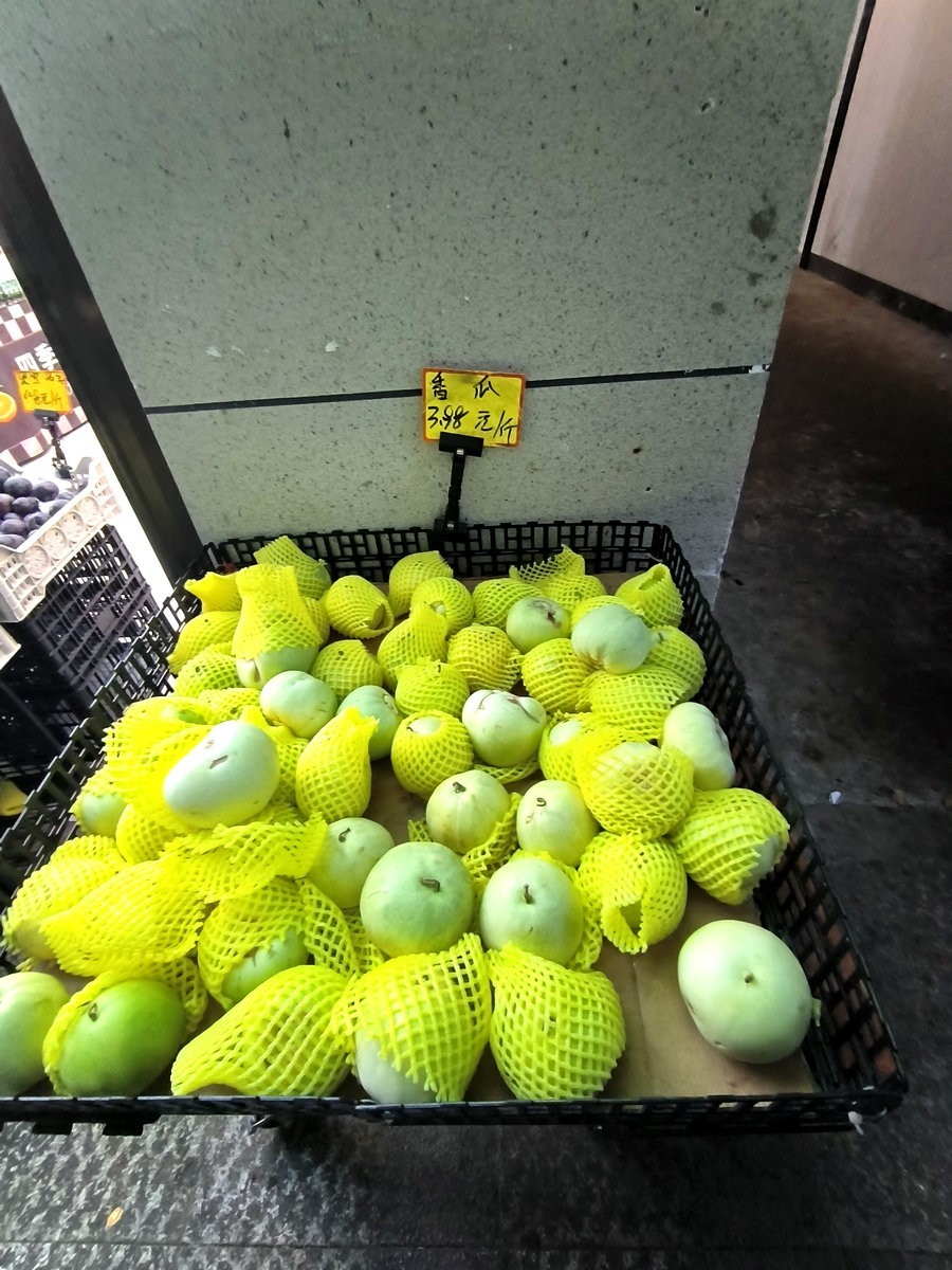 2024夏 海南环岛行（197）平安到家【答谢篇】