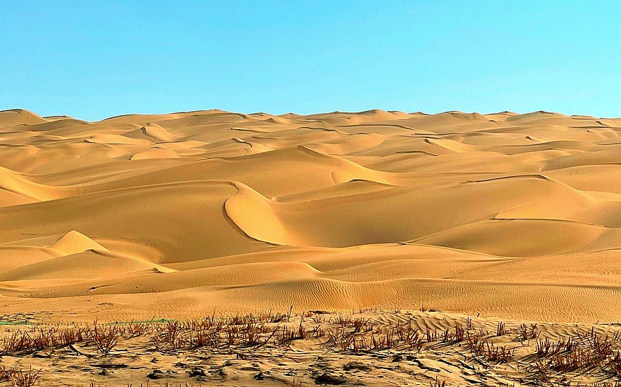 《不老松：纪实摄影》【山河锦绣】南疆游摄：穿越塔克拉玛干大沙漠！ (2)