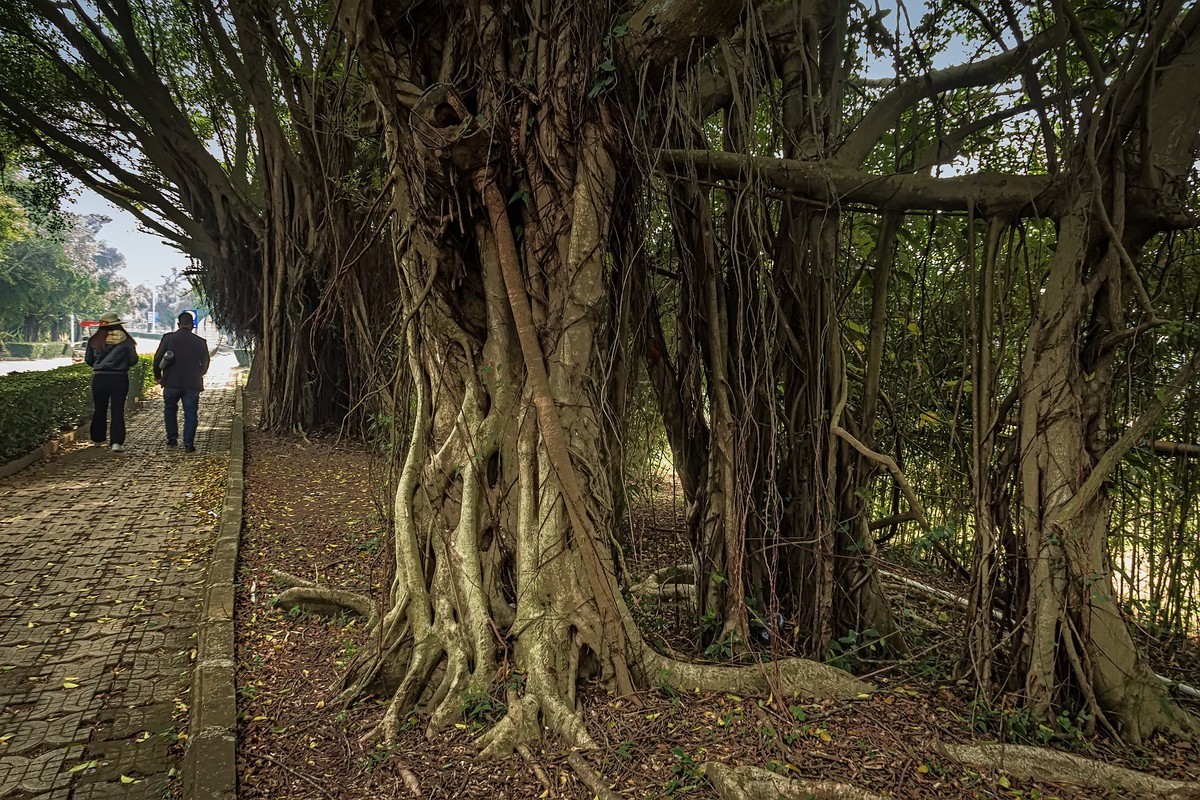广西钦州 · 三娘湾（6）