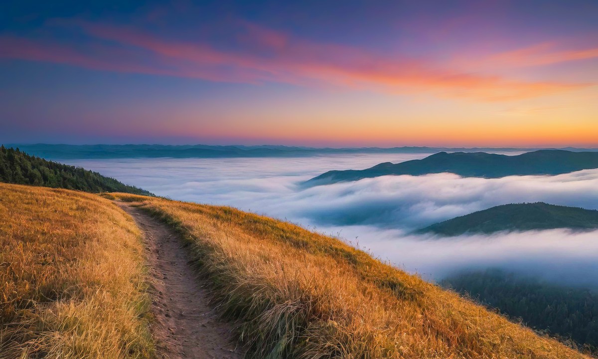 寻觅宁静与平和