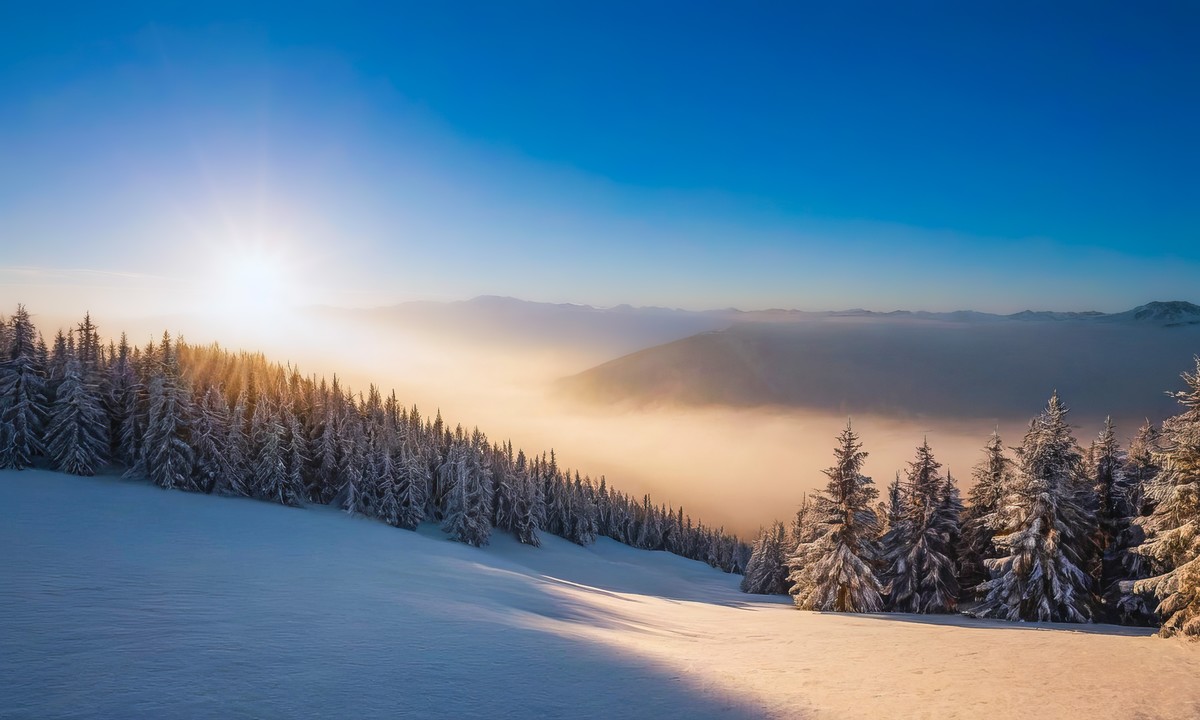 寻觅宁静与平和