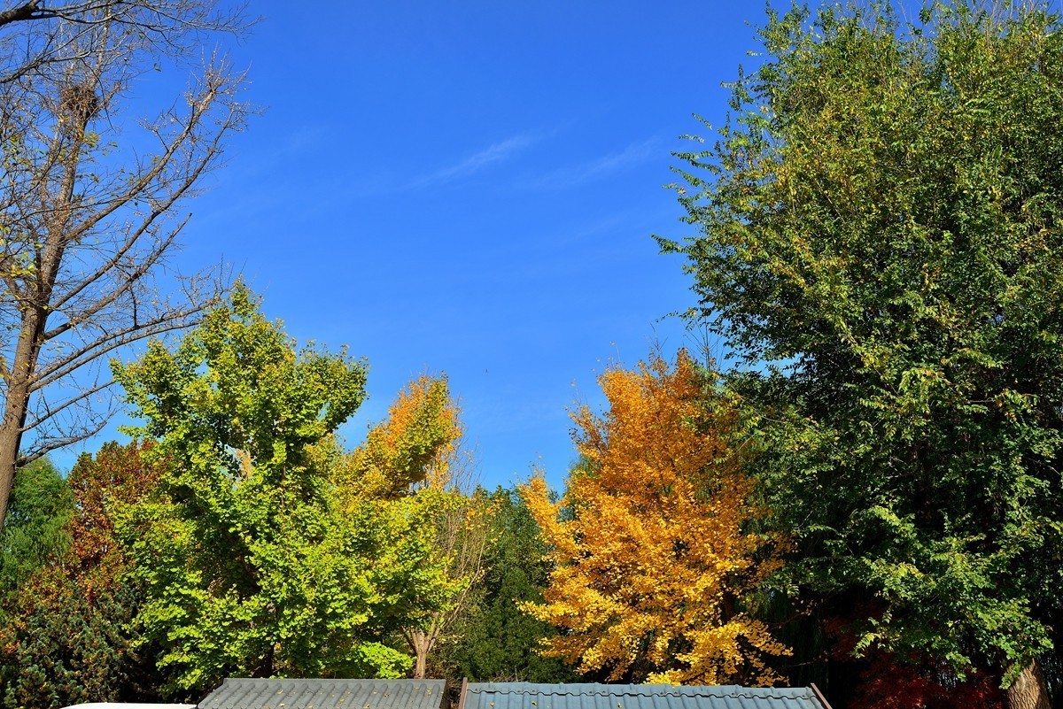 【视觉光影】泉 城 秋 色 （6）