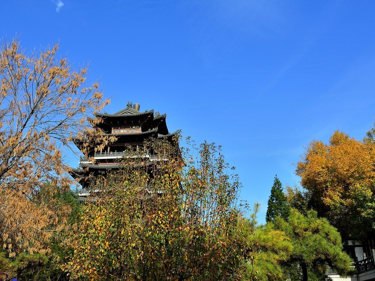 【视觉光影】泉 城 秋 色 （6）