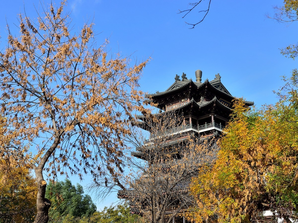 【视觉光影】泉 城 秋 色 （6）