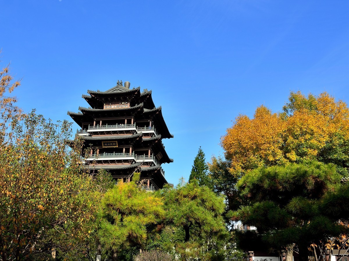 【视觉光影】泉 城 秋 色 （6）