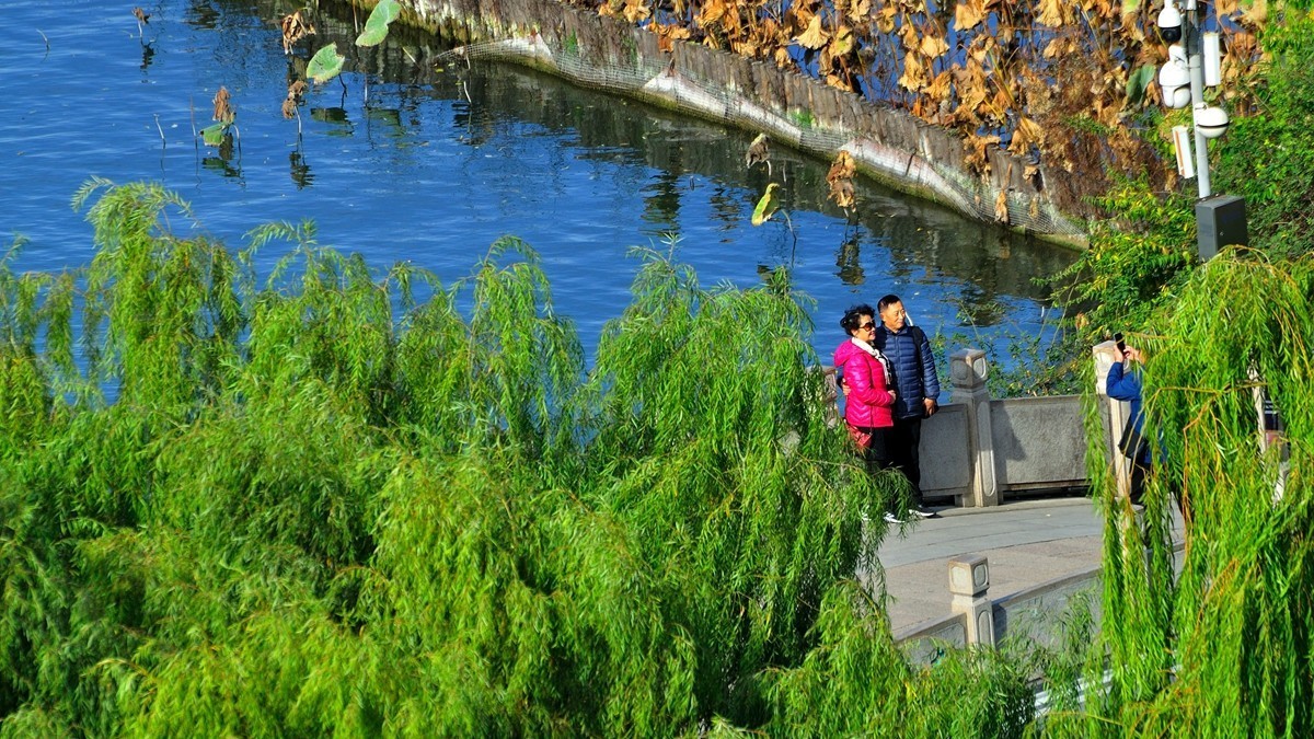 【视觉光影】泉 城 秋 色 （6）
