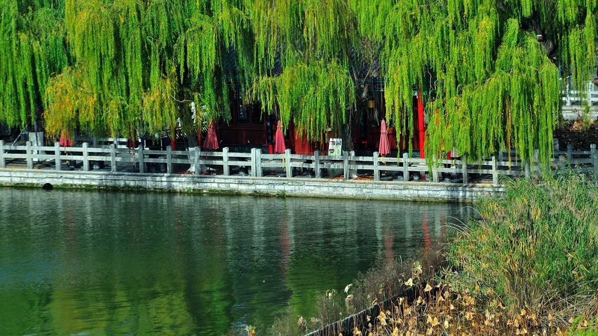 【视觉光影】泉 城 秋 色 （6）