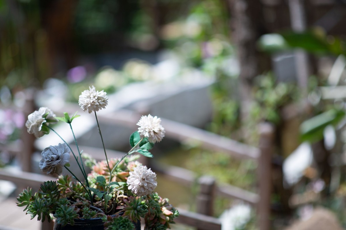 2025初春步行随拍 （拾陆）