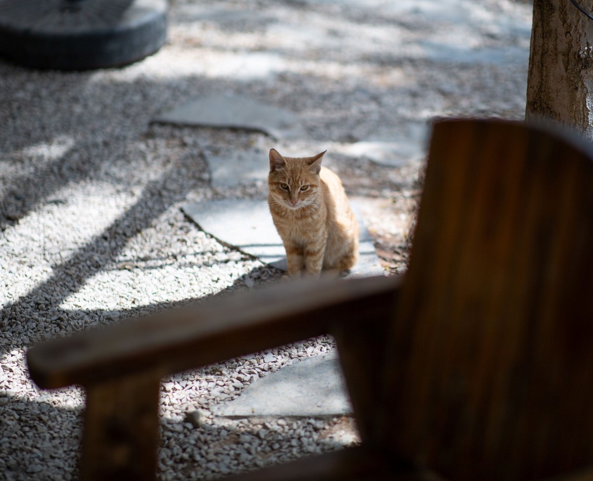 2025初春步行随拍 （拾陆）