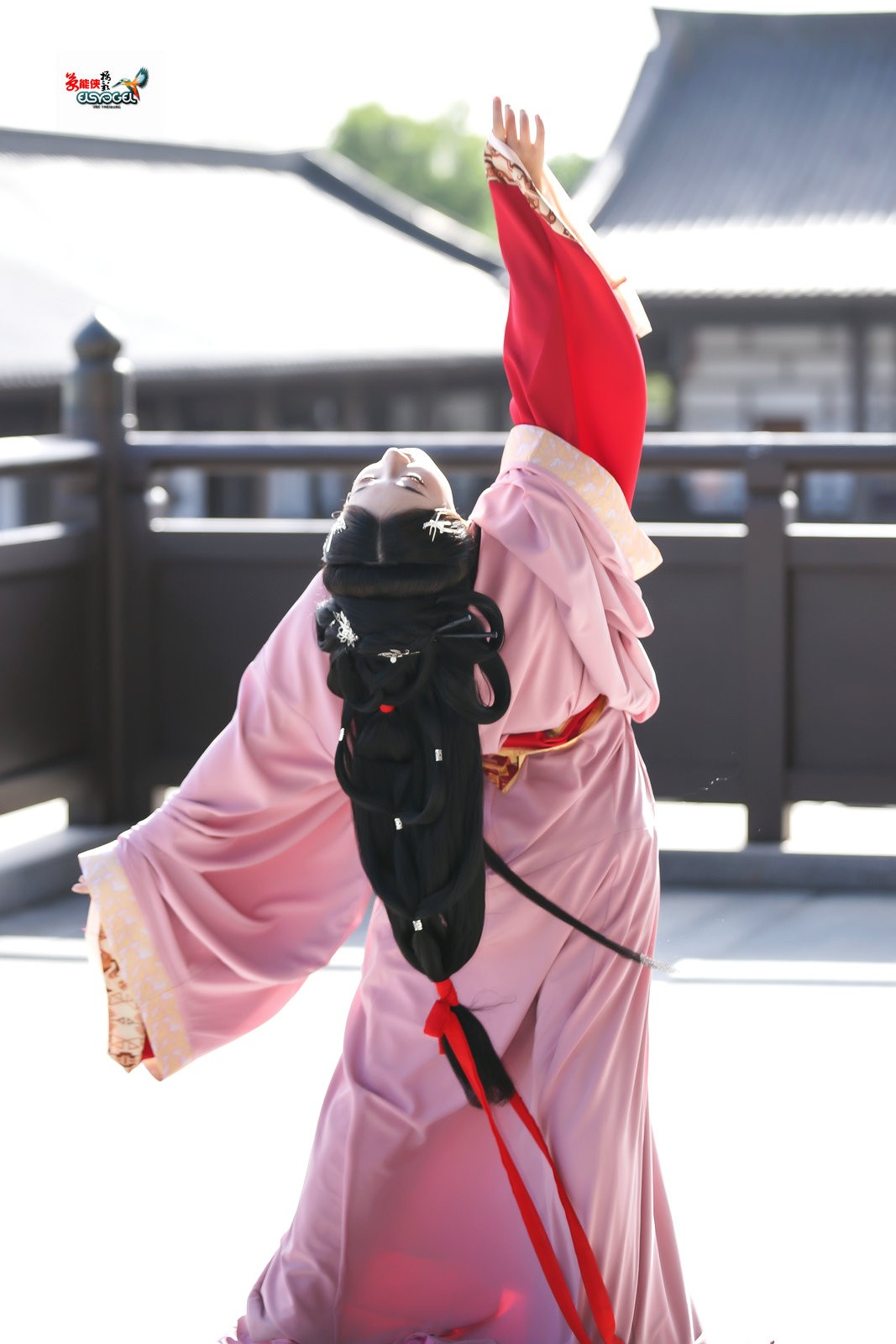 【美人依旧】---兔子