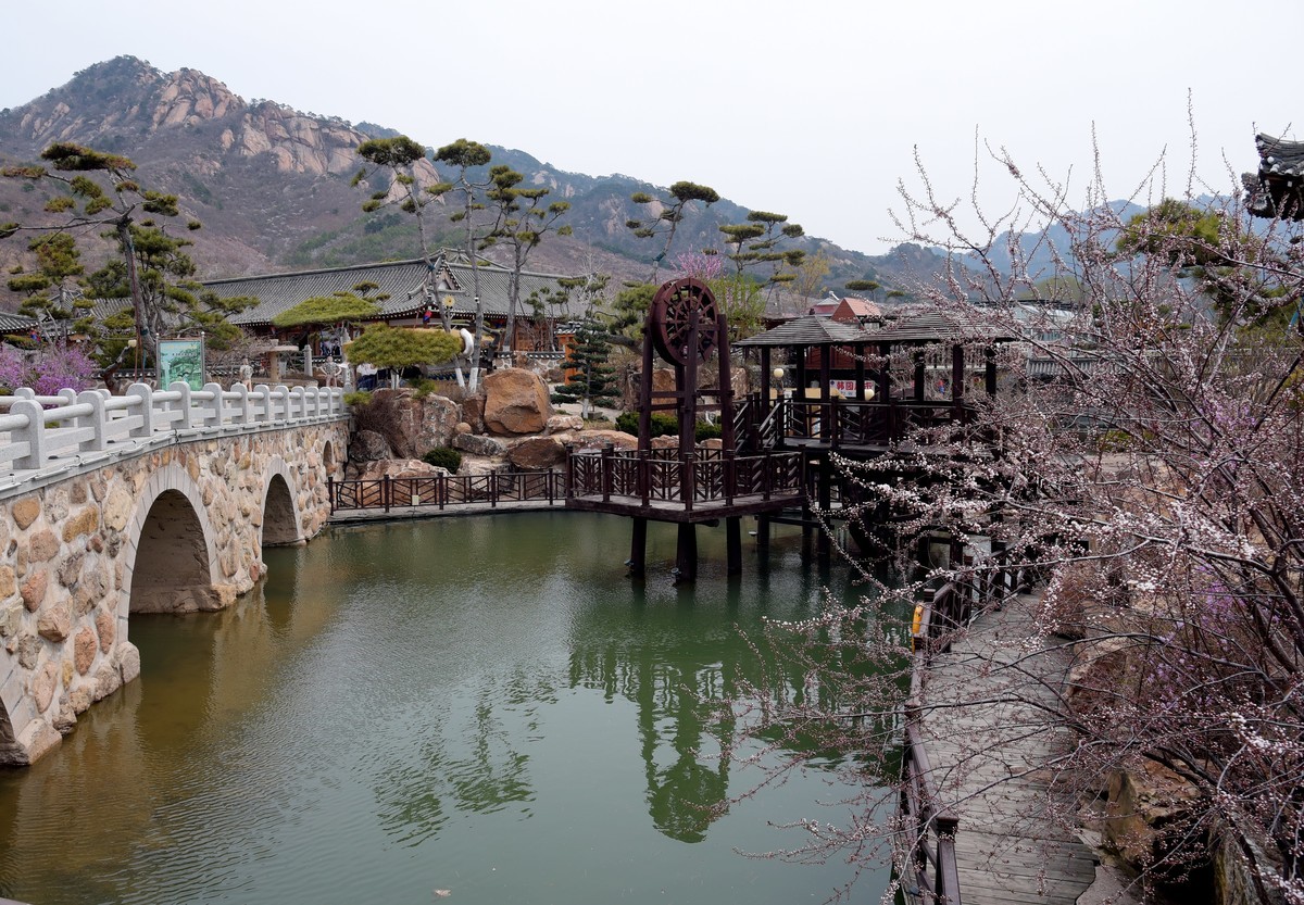 春游韩园（二）