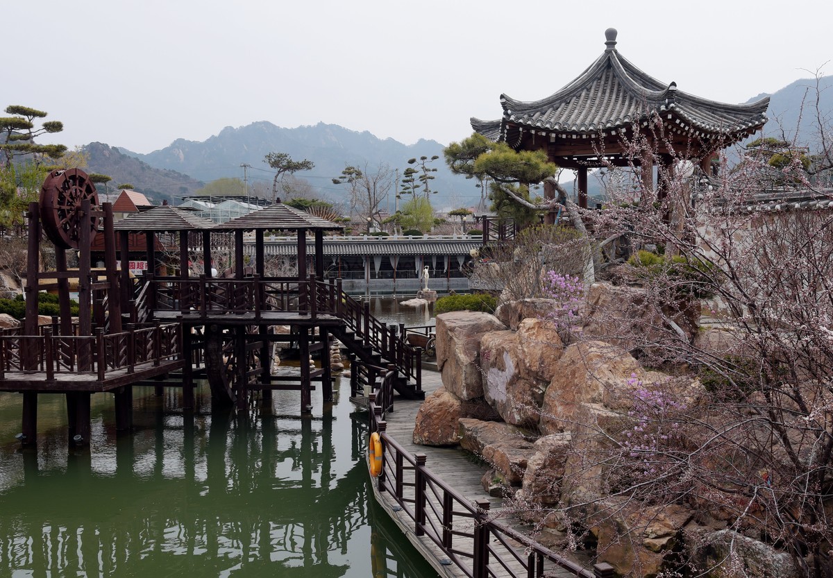 春游韩园（二）