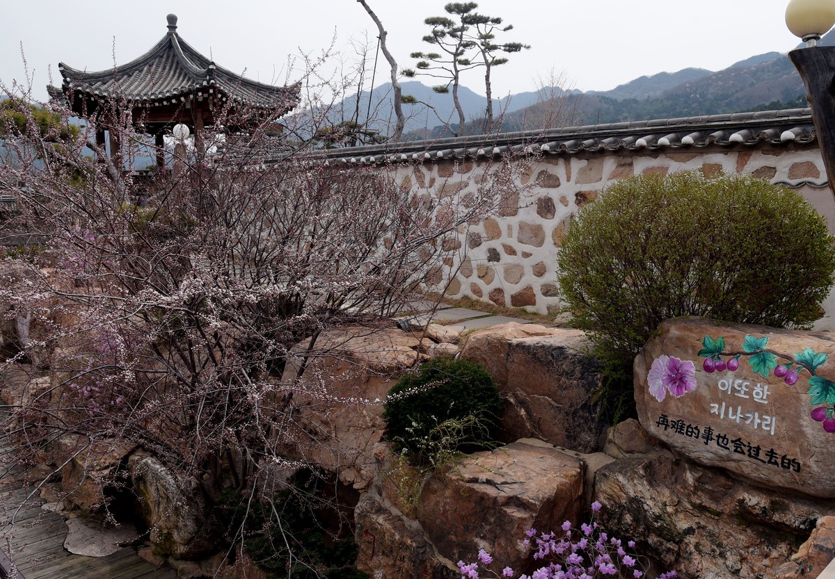 春游韩园（二）