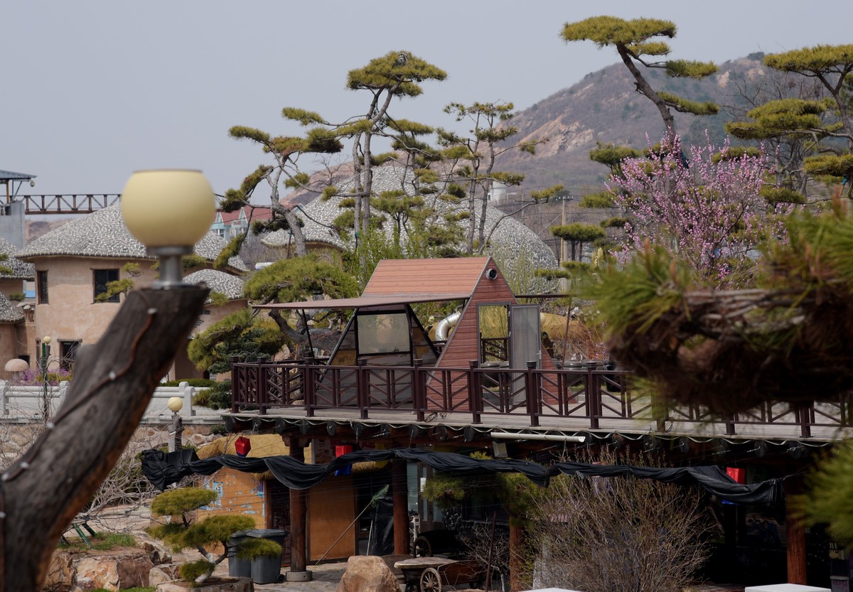 春游韩园（二）