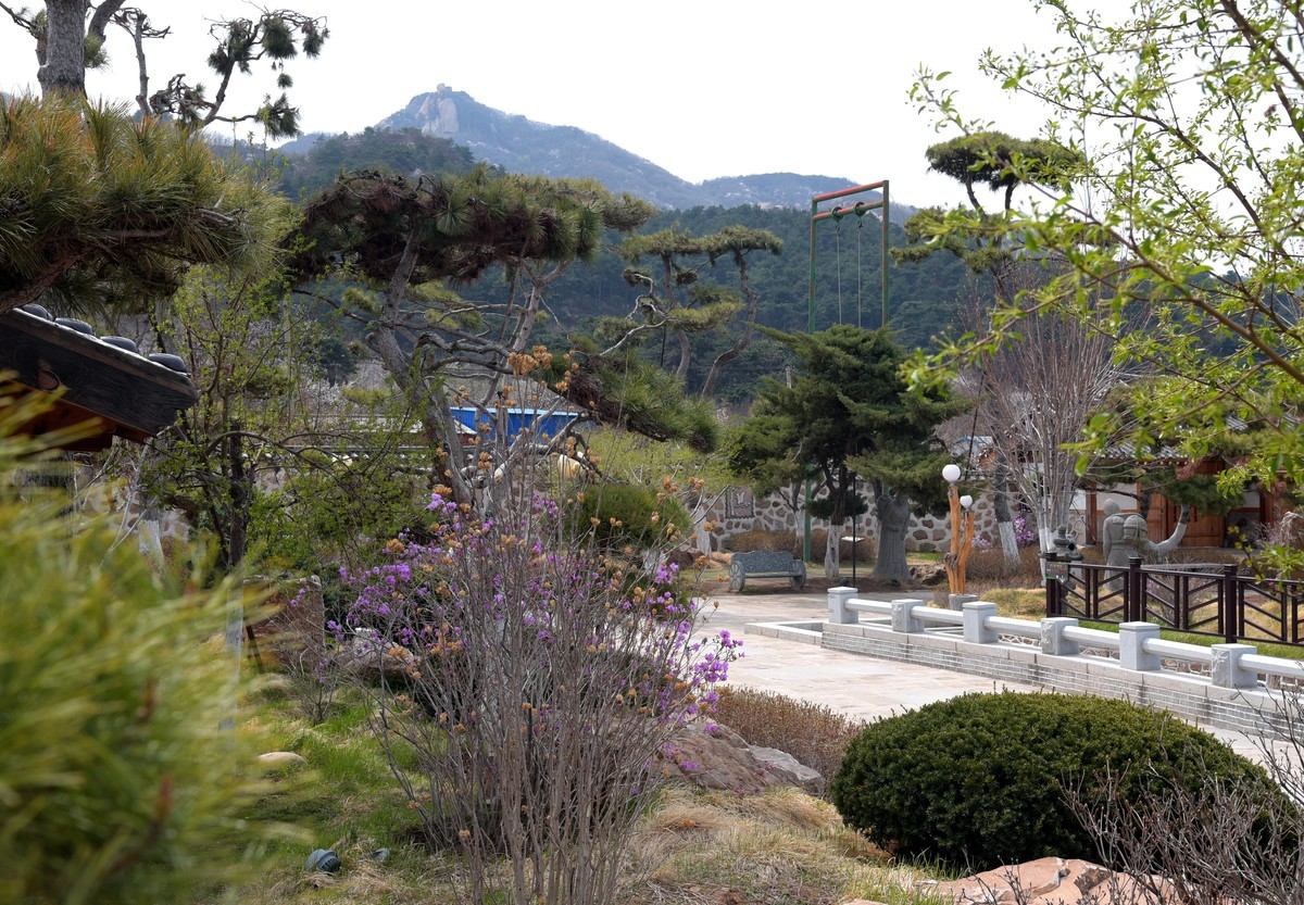 春游韩园（二）