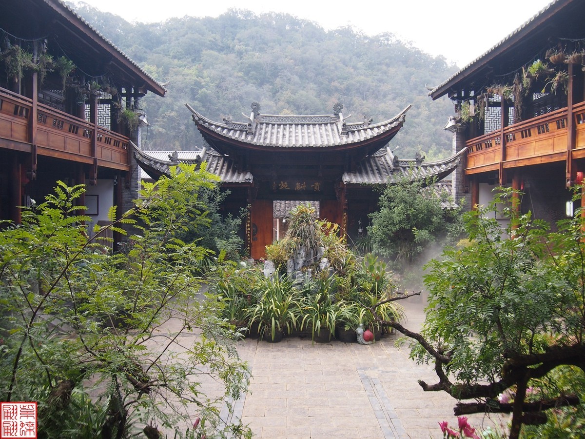 2023.12.21仙草秘境(10）