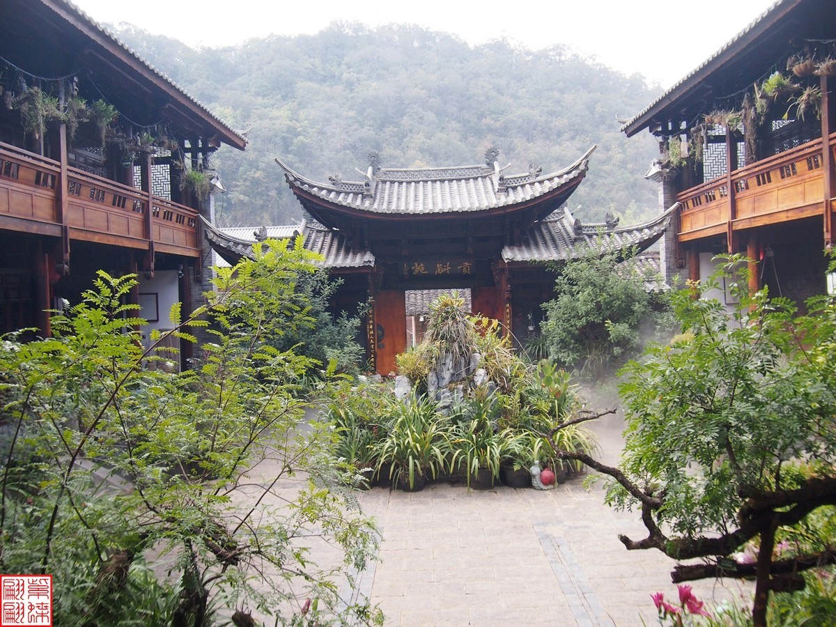 2023.12.21仙草秘境(10）