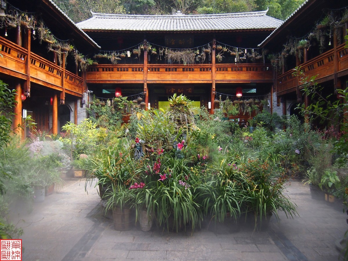 2023.12.21仙草秘境(10）