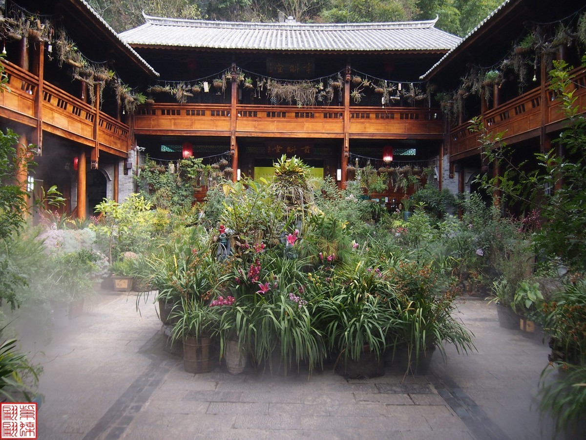 2023.12.21仙草秘境(10）