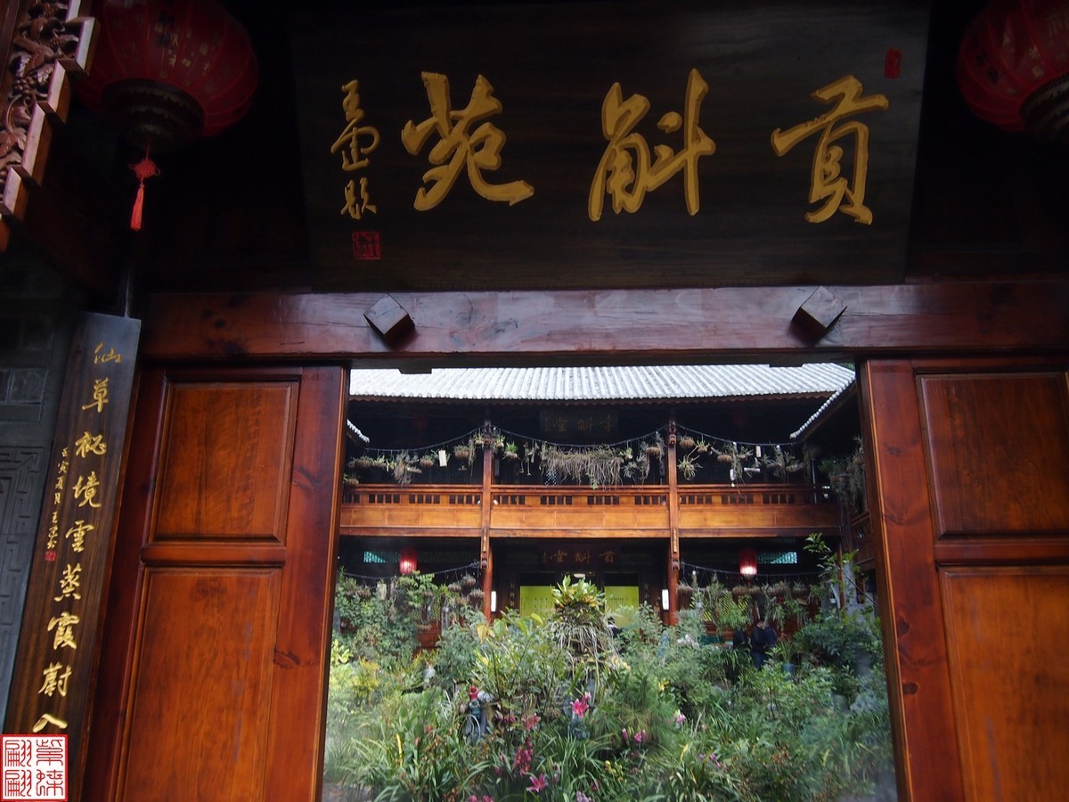 2023.12.21仙草秘境(10）