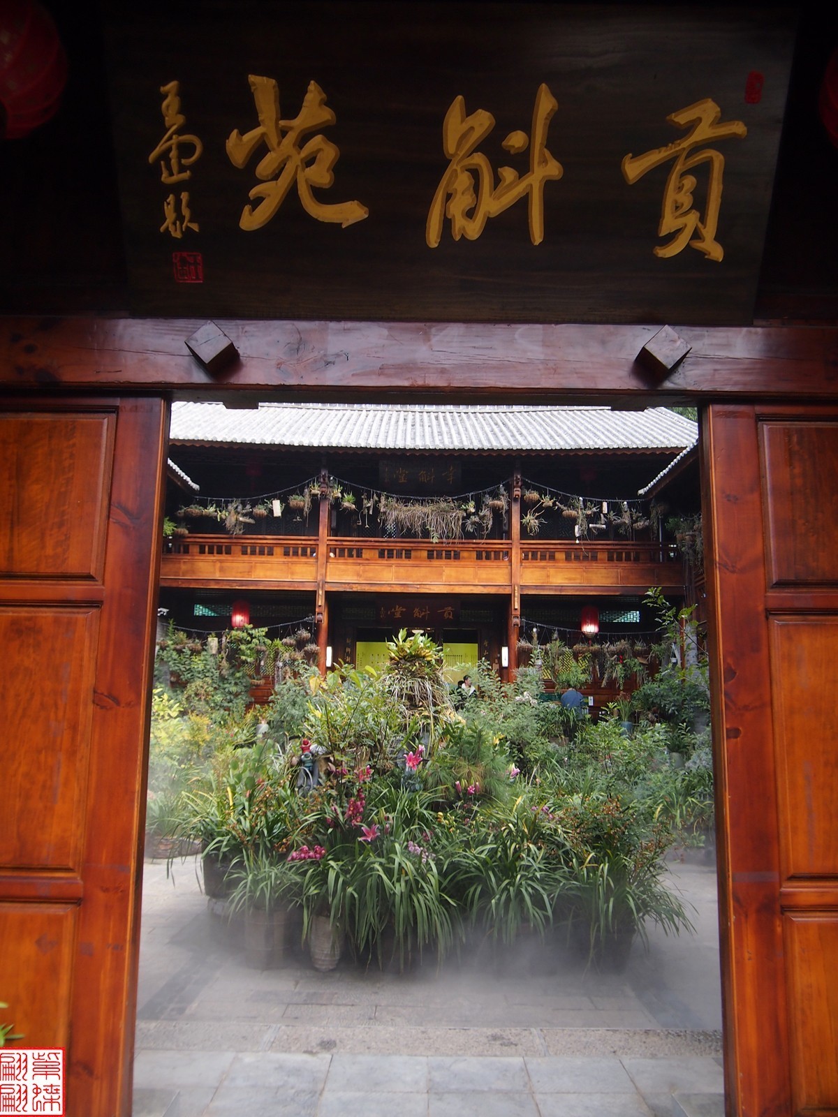 2023.12.21仙草秘境(10）