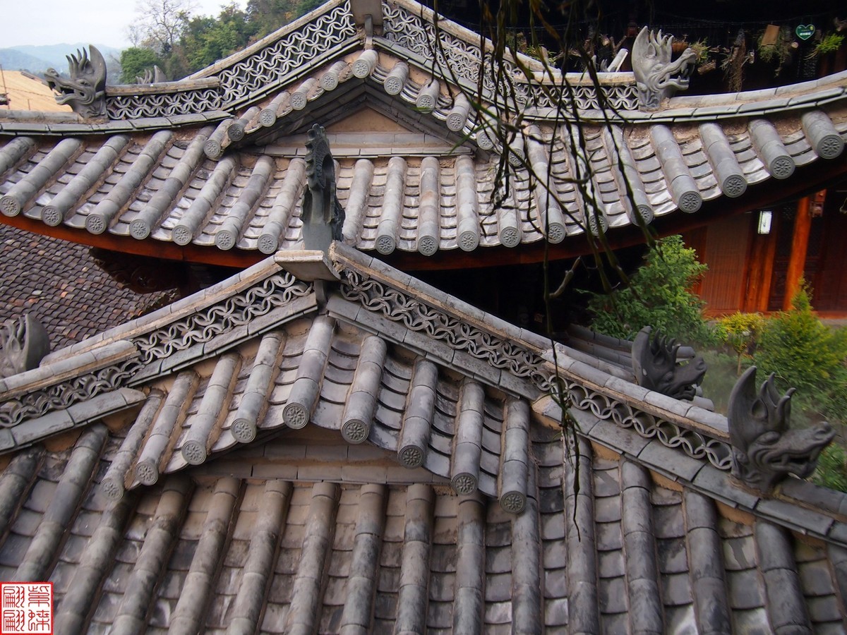 2023.12.21仙草秘境(10）