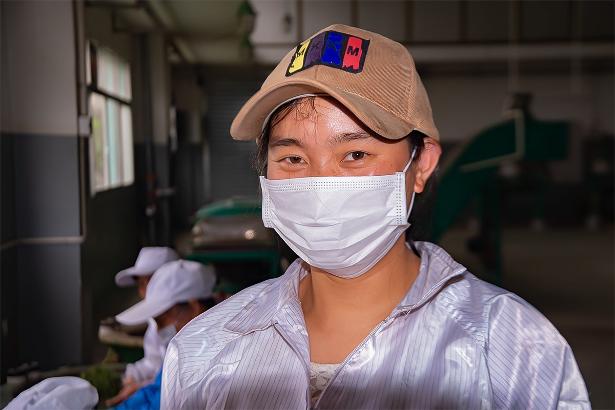 制茶工