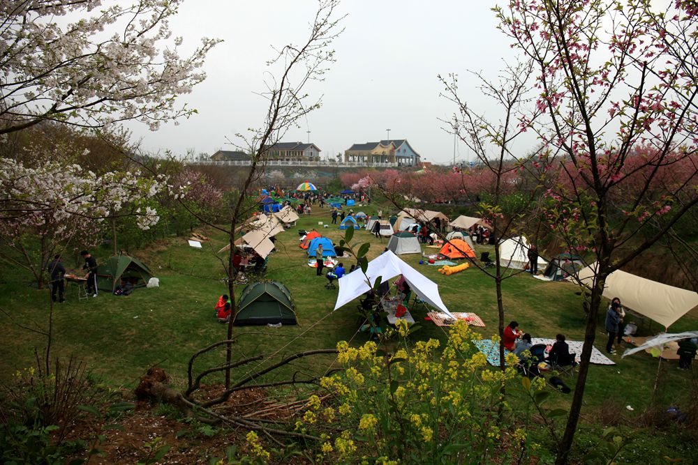 杭州樱花谷乐园