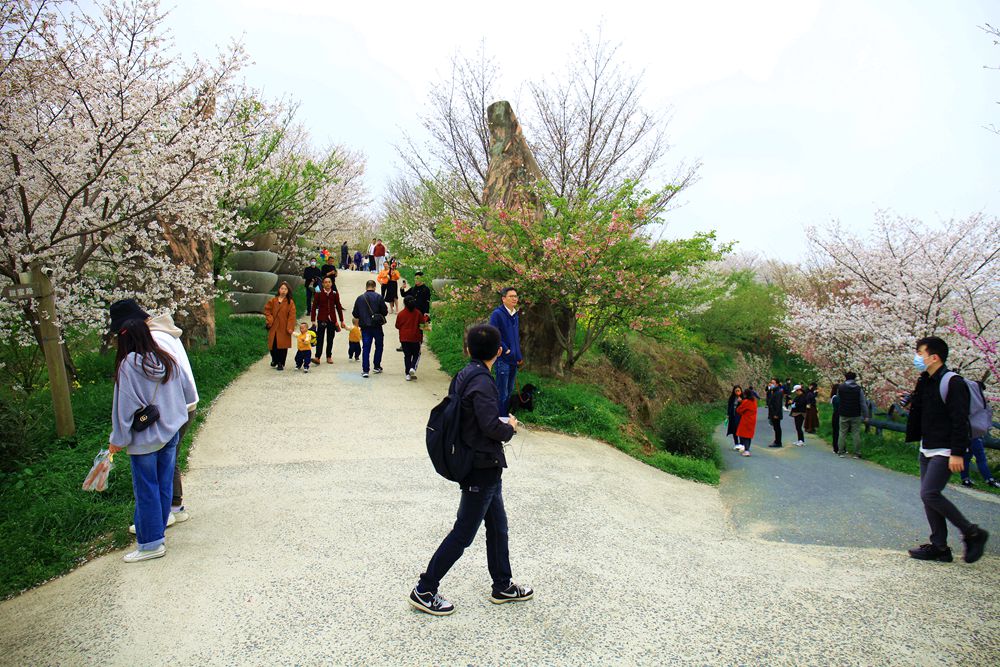 杭州樱花谷乐园