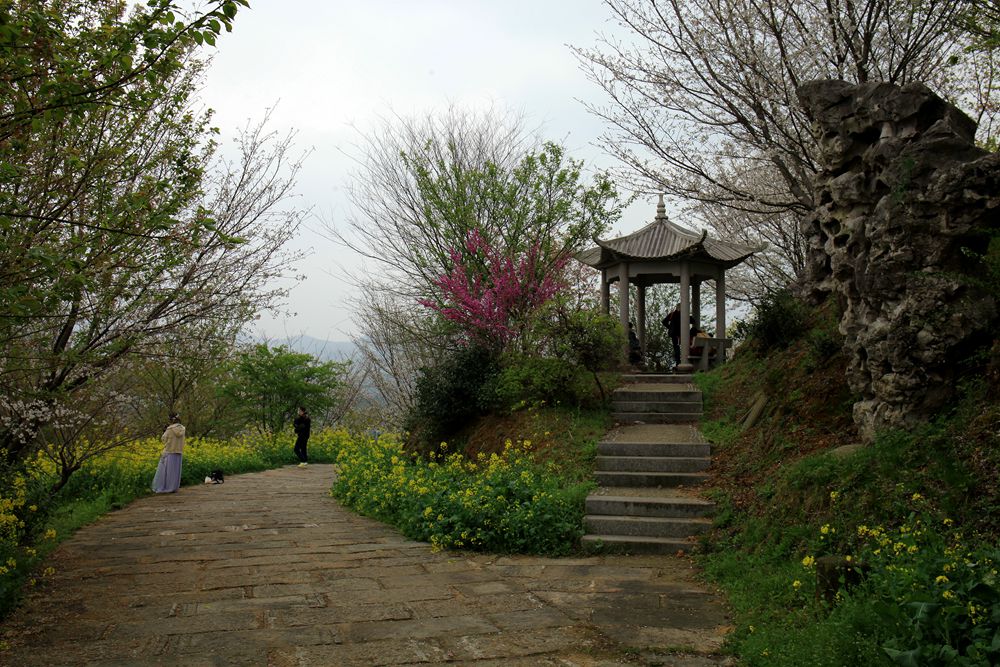 杭州樱花谷乐园照片图片