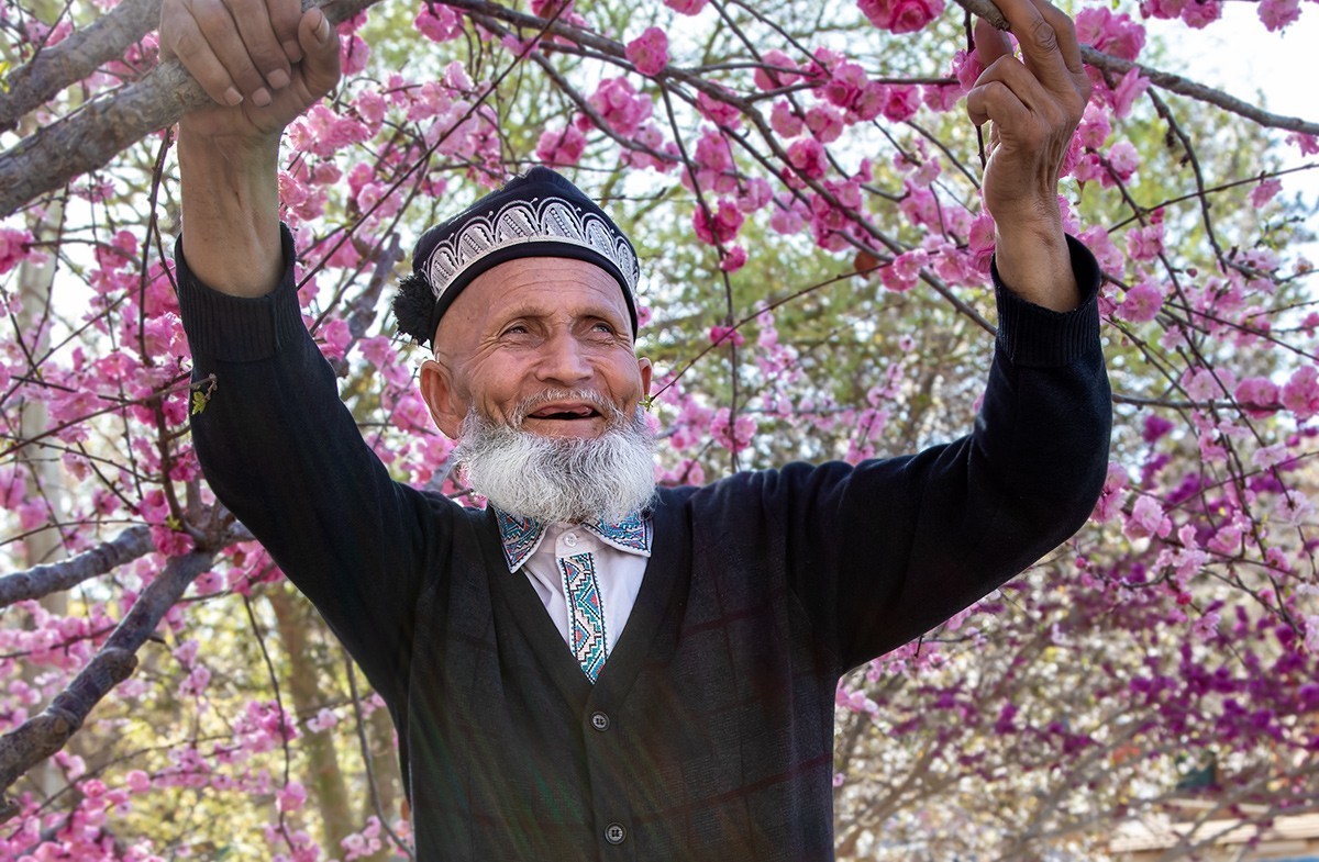 探秘新疆南疆西域游记之八 【追寻逝去的岁月】