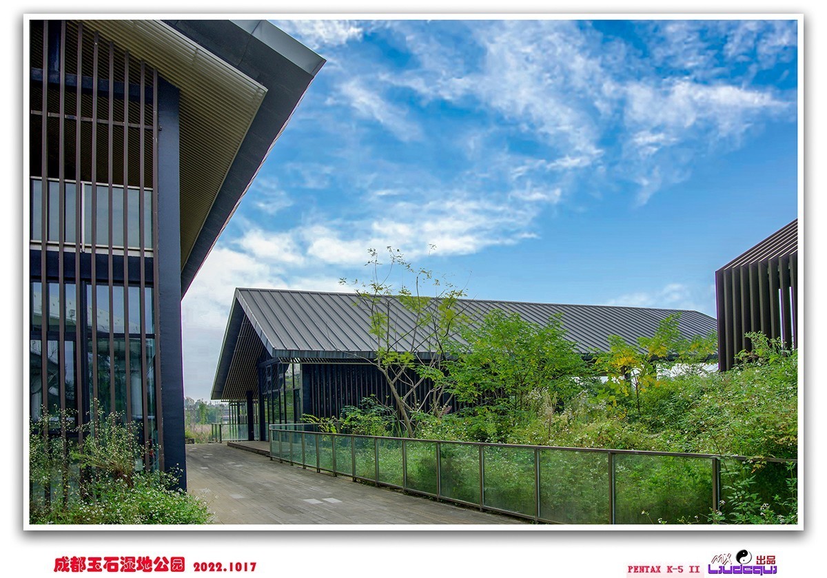 成都玉石湿地隨拍（1）