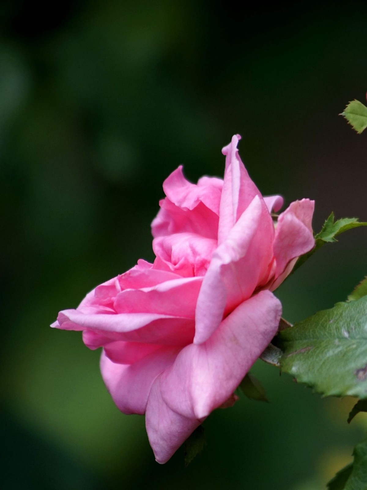 100  300老头拍摄