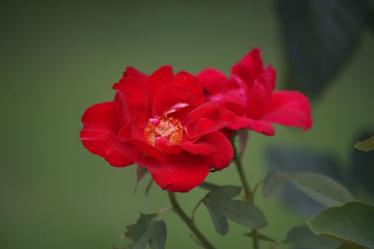 100  300老头拍摄