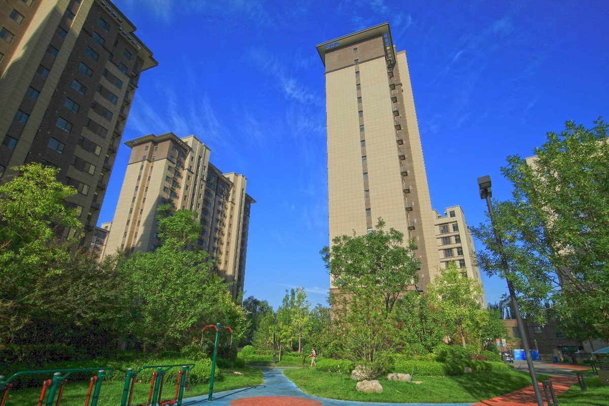 曾经的无敌兔不愧为无敌兔！