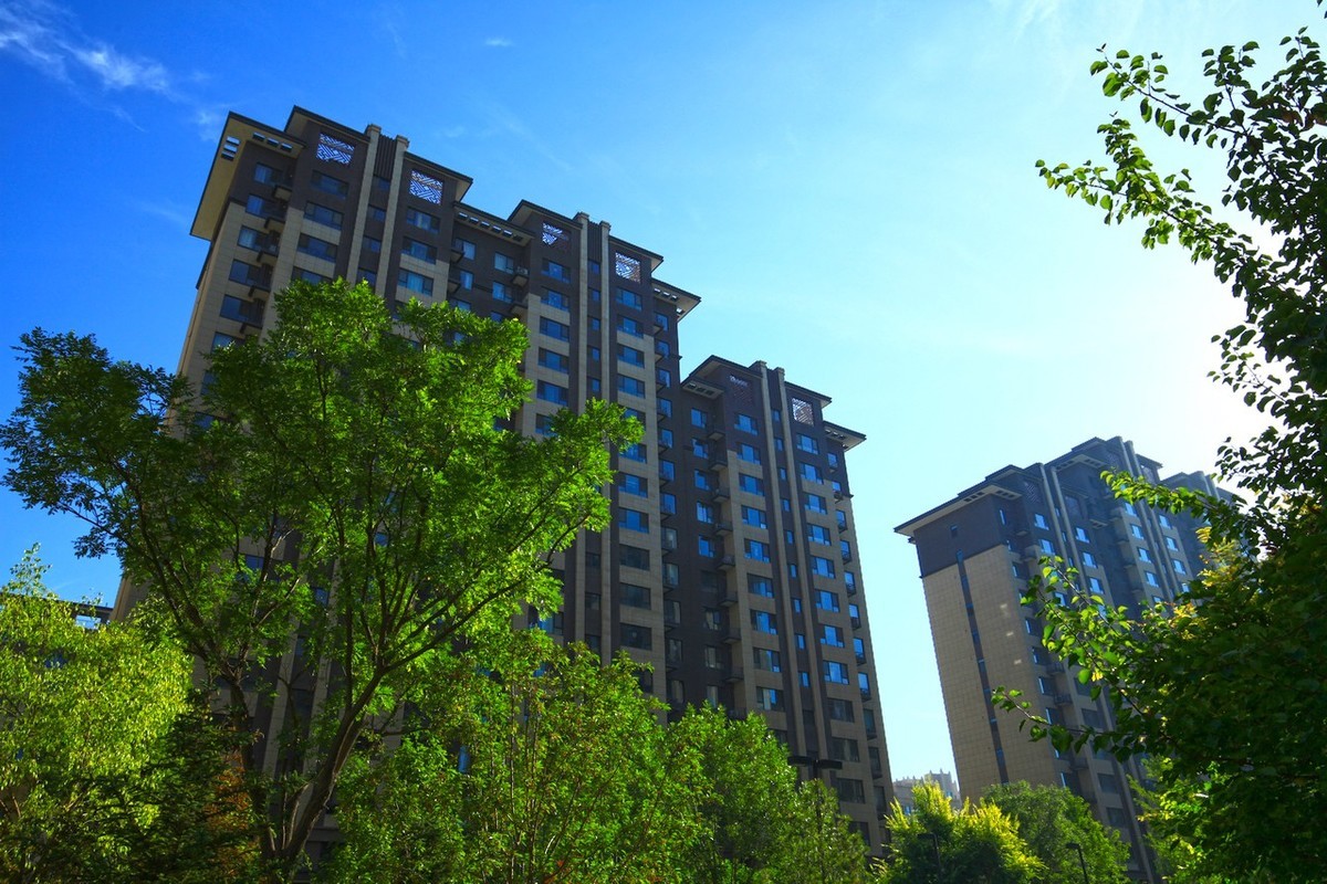 曾经的无敌兔不愧为无敌兔！