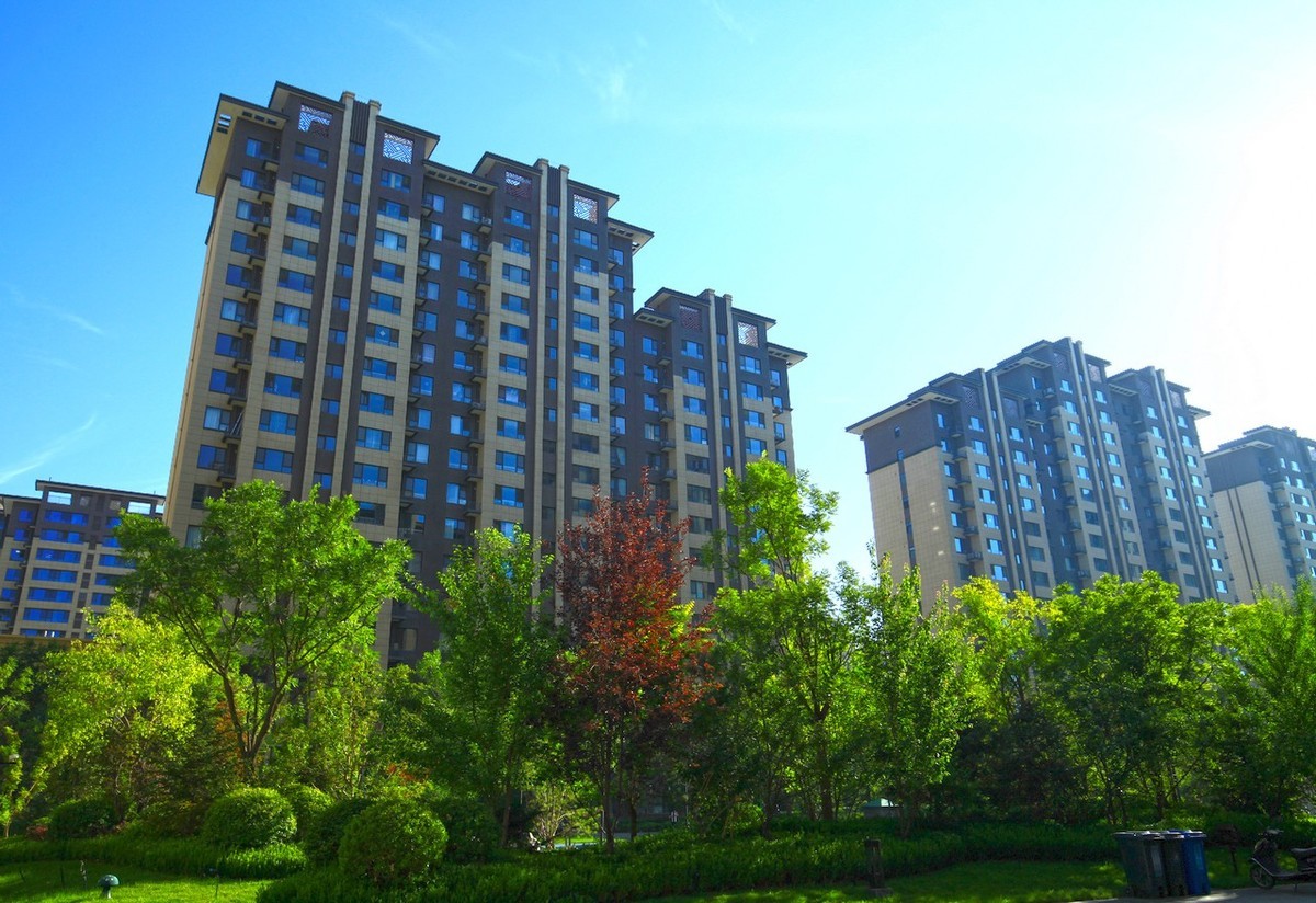 曾经的无敌兔不愧为无敌兔！