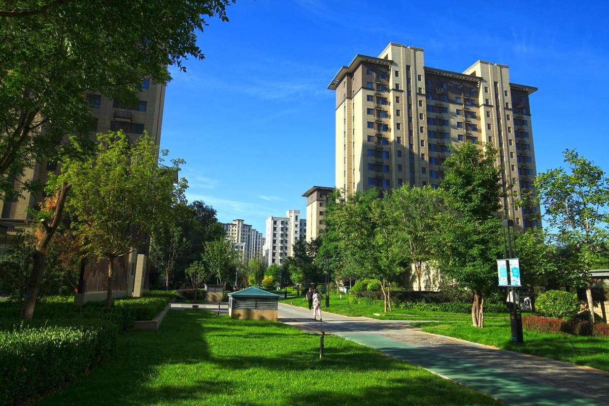 曾经的无敌兔不愧为无敌兔！